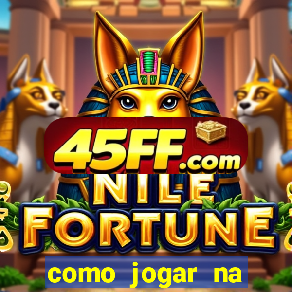 como jogar na seninha online